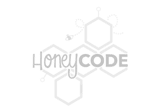 Honeycode elementary coding classes at Stone Lake Elementary